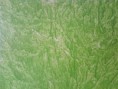 Marmorizado Branco com Verde